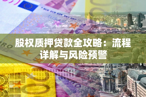 武汉股权质押贷款全攻略：流程详解与风险预警
