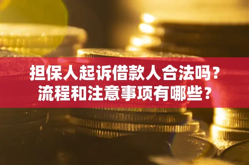 武汉担保人起诉借款人合法吗？流程和注意事项有哪些？