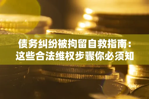 武汉债务纠纷被拘留自救指南：这些合法维权步骤你必须知道！