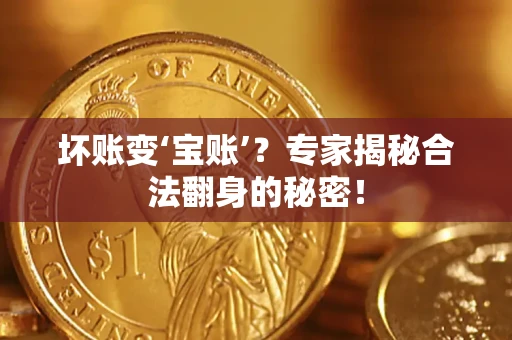 武汉坏账变‘宝账’？专家揭秘合法翻身的秘密！