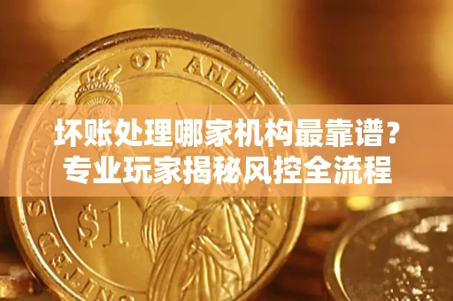 武汉坏账处理哪家机构最靠谱？专业玩家揭秘风控全流程