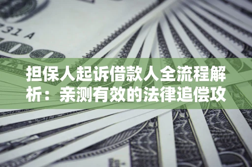 武汉担保人起诉借款人全流程解析：亲测有效的法律追偿攻略