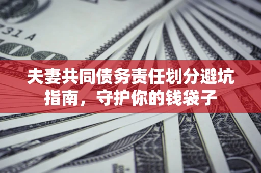 武汉夫妻共同债务责任划分避坑指南，守护你的钱袋子