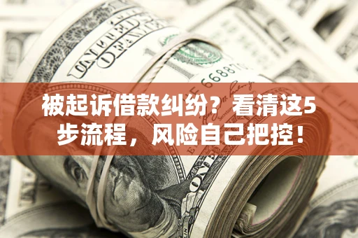 武汉被起诉借款纠纷？看清这5步流程，风险自己把控！