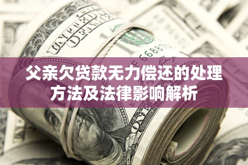 武汉父亲欠贷款无力偿还的处理方法及法律影响解析