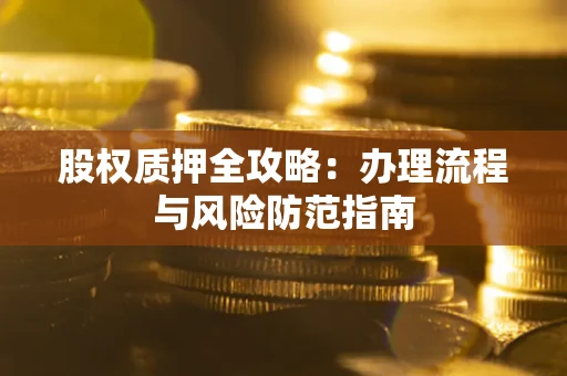 武汉股权质押全攻略：办理流程与风险防范指南