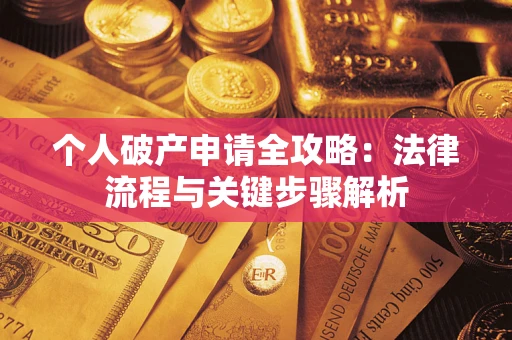 武汉个人破产申请全攻略：法律流程与关键步骤解析