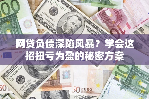 武汉网贷负债深陷风暴？学会这招扭亏为盈的秘密方案